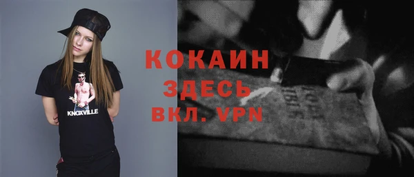 mdpv Новозыбков