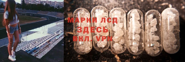 mdpv Новозыбков
